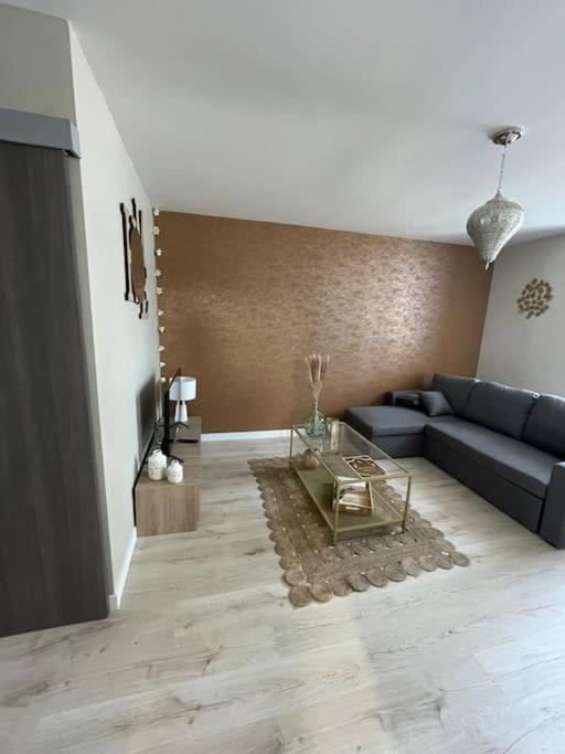 T2 Refait A Neuf Sur Le Theme Oriental Appartement